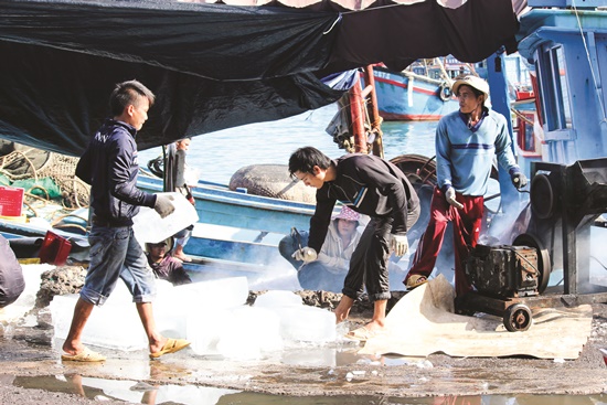 Bến cá Hòn Rớ hiện là chợ thủy sản lớn nhất khu vực Nam Trung bộ. Ảnh: P.Đ.Q