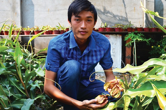 Võ Nhật Phương đang chăm sóc các cây nắp ấm do anh tự nhân giống tại vườn của mình ở quận Gò Vấp. Ảnh: Mỹ Loan