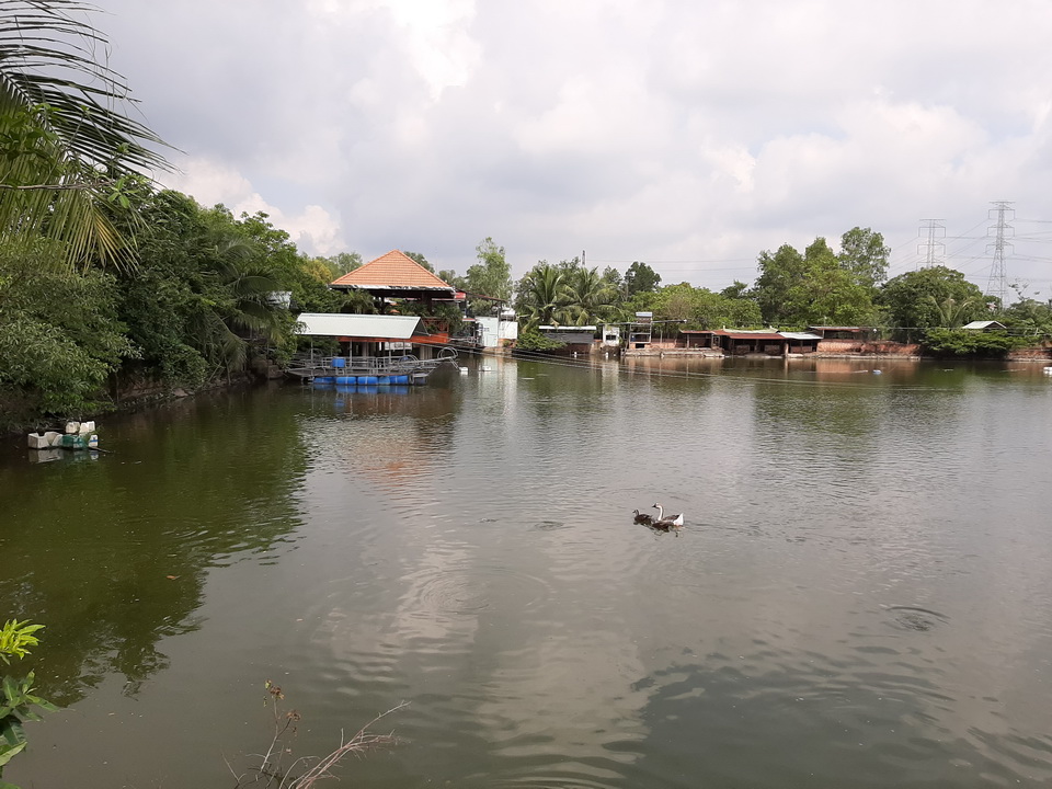 Trải nghiệm “sống xanh” cùng bác sĩ sản khoa nổi tiếng Lưu Thế Duyên - Sài Gòn Tiếp Thị