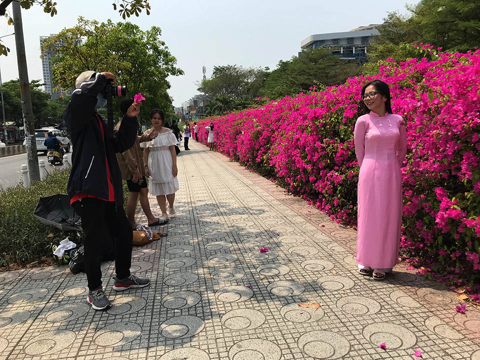 Đua nhau chụp ảnh cùng giàn hoa giấy nên thơ ở quận 7 - Sài Gòn ...
