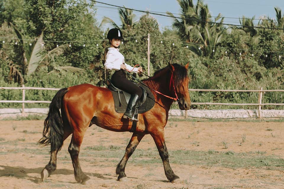Những điều thú vị về bộ môn cưỡi ngựa, có thể học ngay ở TPHCM
