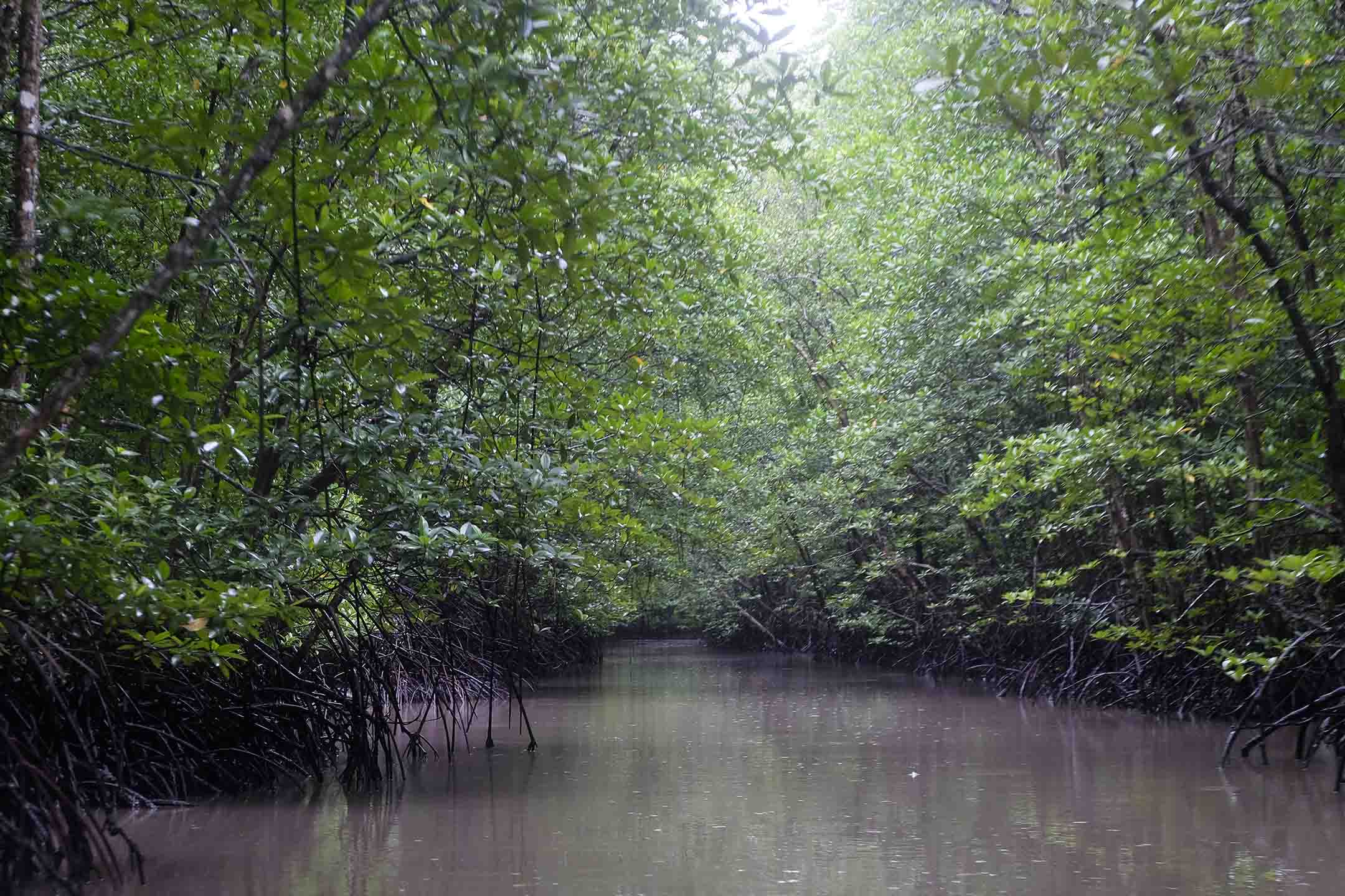 ‘Trải nghiệm xanh’ tại 11 khu dự trữ sinh quyển thế giới ở Việt Nam