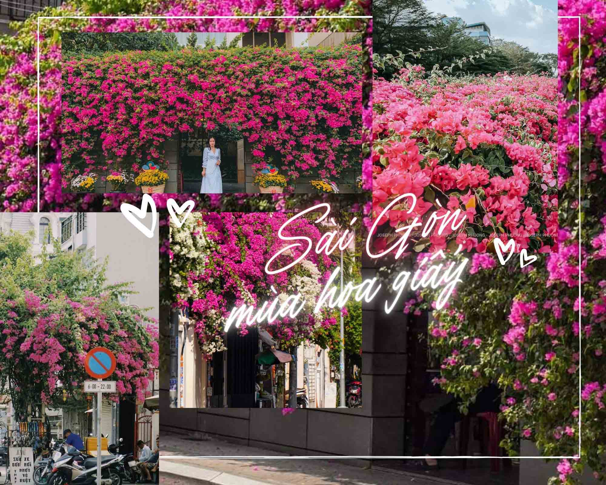 Hướng dẫn làm giàn hoa giấy đẹp ở Sài Gòn cho ngôi nhà thêm lung linh