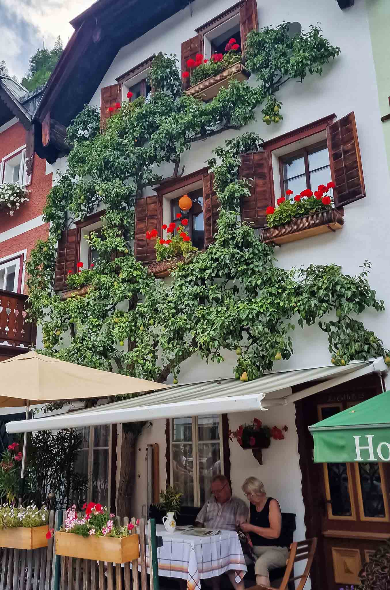Sắc hè tại Hallstatt, một trong 50 thị trấn nhỏ đẹp nhất thế giới 2023