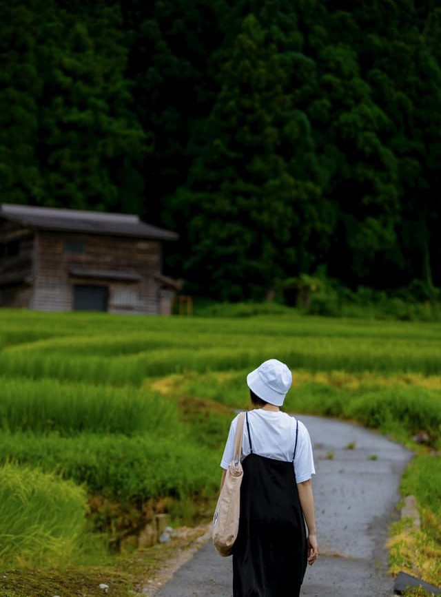 Mùa Hè xanh mát tại làng cổ Shirakawa-go, Nhật Bản