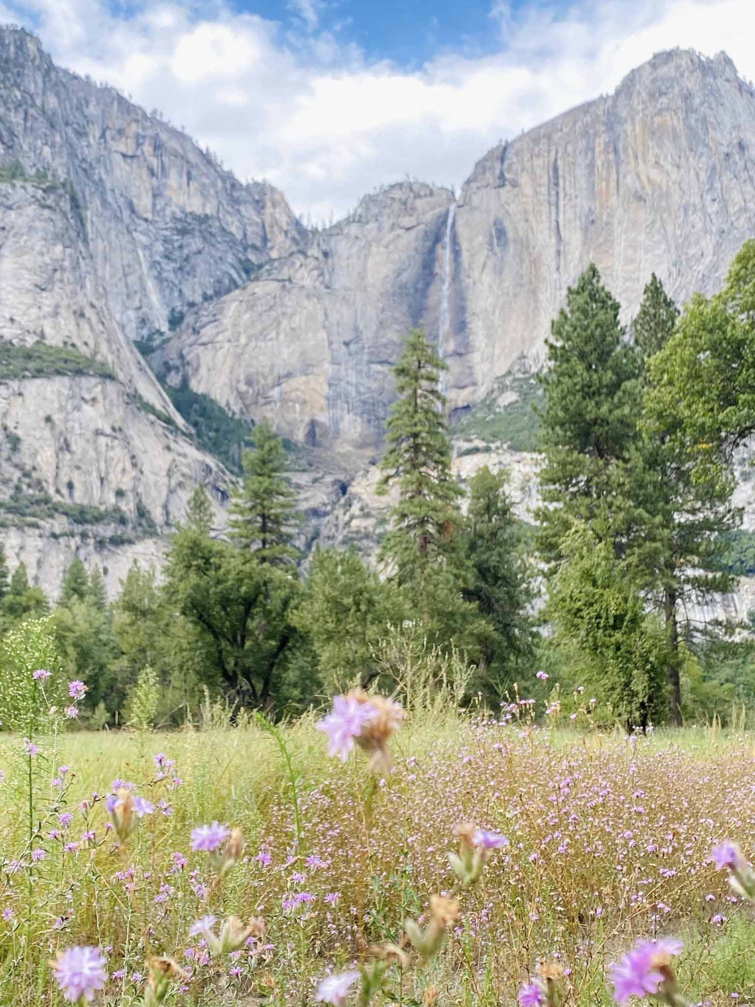 Khám phá công viên quốc gia Yosemite ở California, Mỹ vào mùa Thu