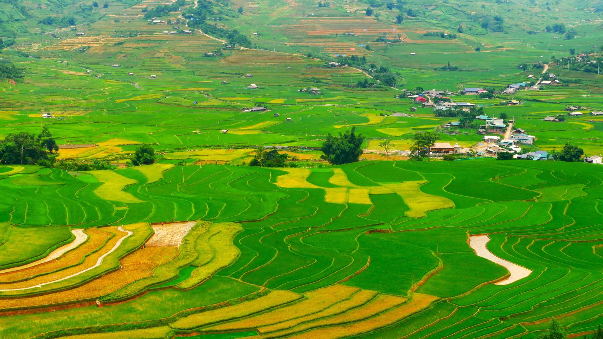Việt Nam từ trên cao: ‘Hoa văn’ mùa đổ ải nơi rẻo cao phương Bắc