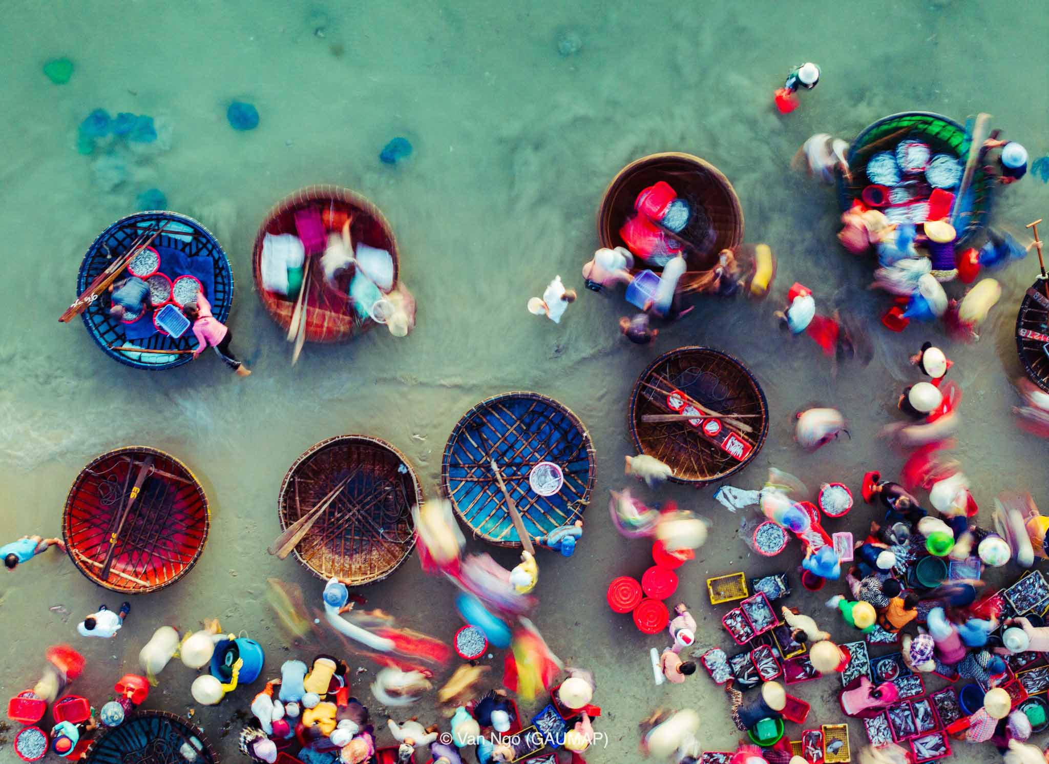 Sắc màu chợ cá Tam Tiến với góc nhìn từ trên cao