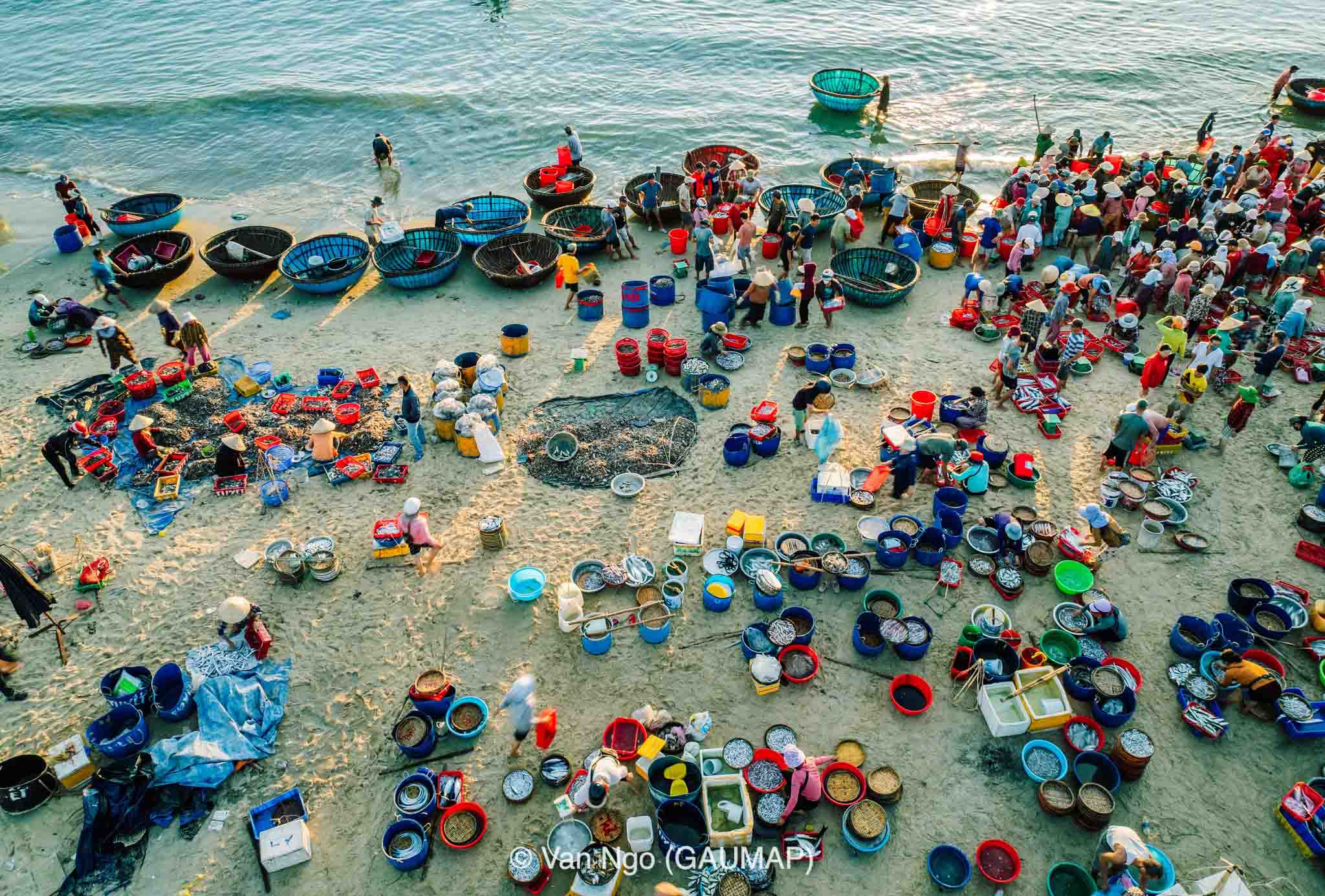 Sắc màu chợ cá Tam Tiến với góc nhìn từ trên cao